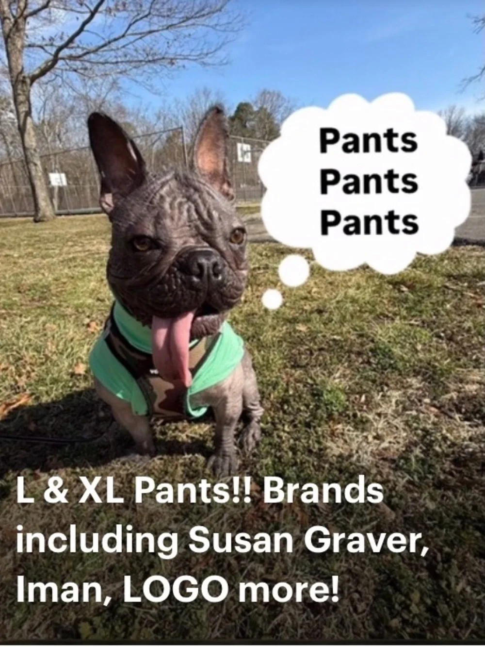 4 pairs of pants, mystery box